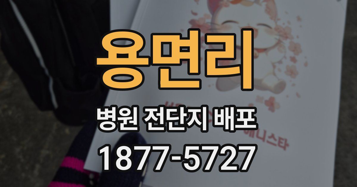 용면리 병원 전단지 배포