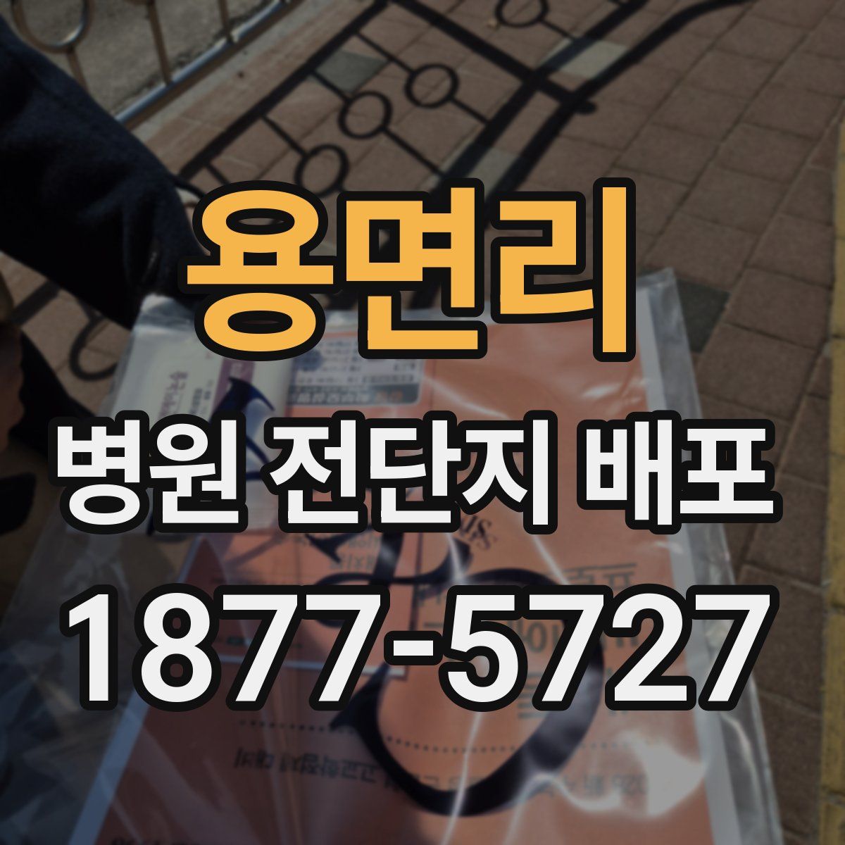 용면리 병원 전단지 배포