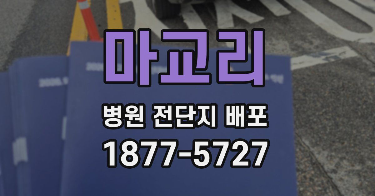 마교리 병원 전단지 배포