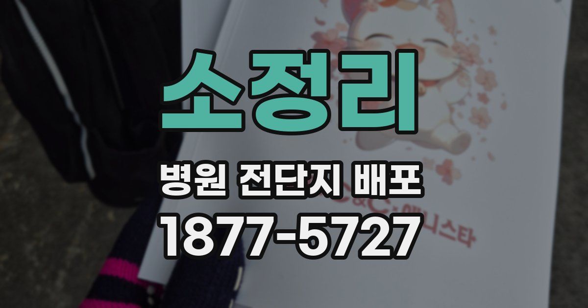 소정리 병원 전단지 배포