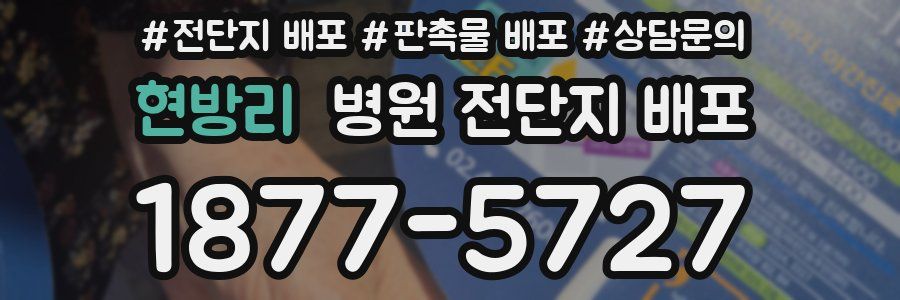 현방리 병원 전단지 배포