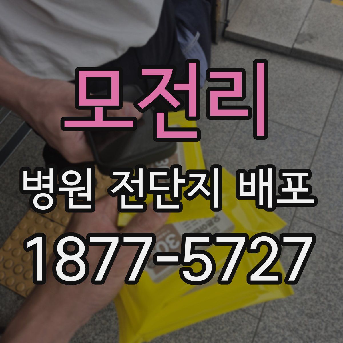 모전리 병원 전단지 배포