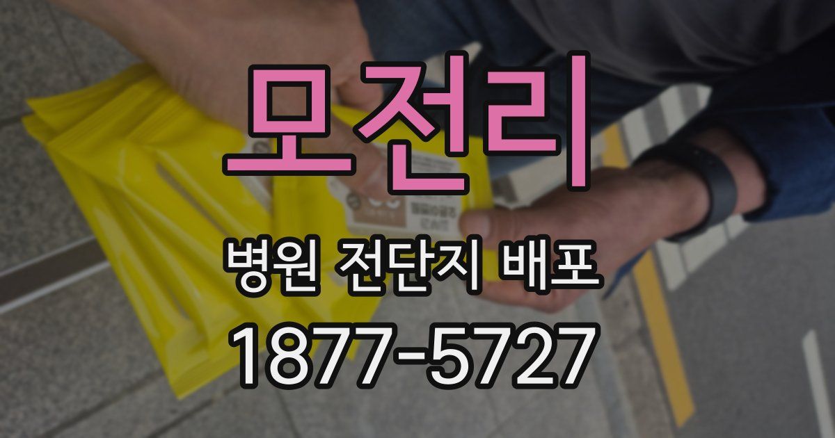 모전리 병원 전단지 배포
