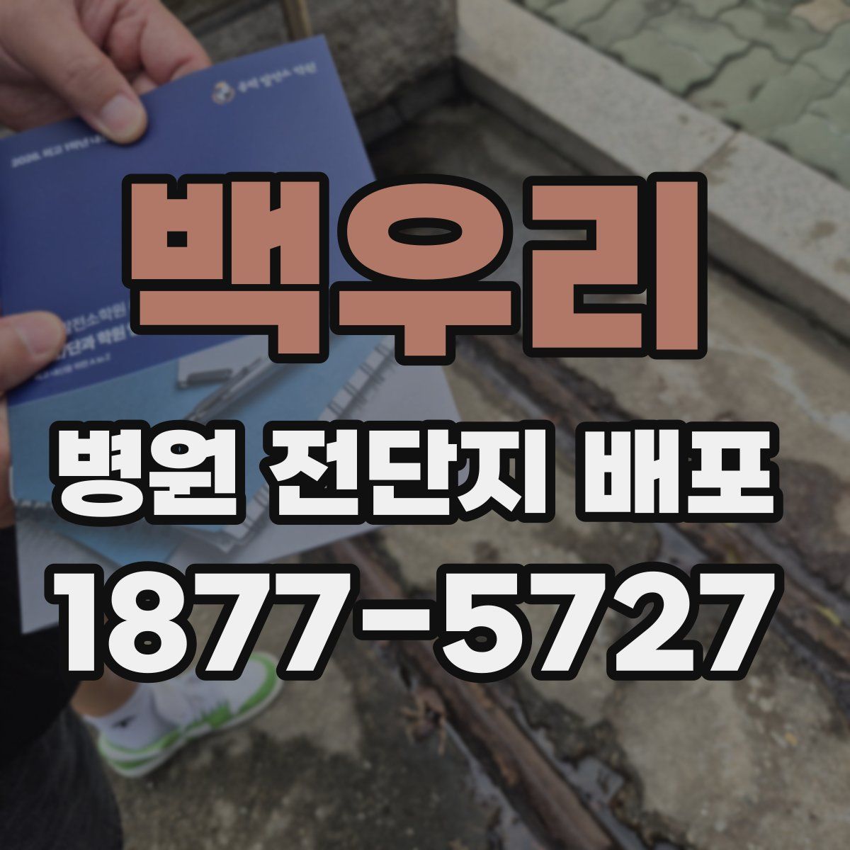 백우리 병원 전단지 배포