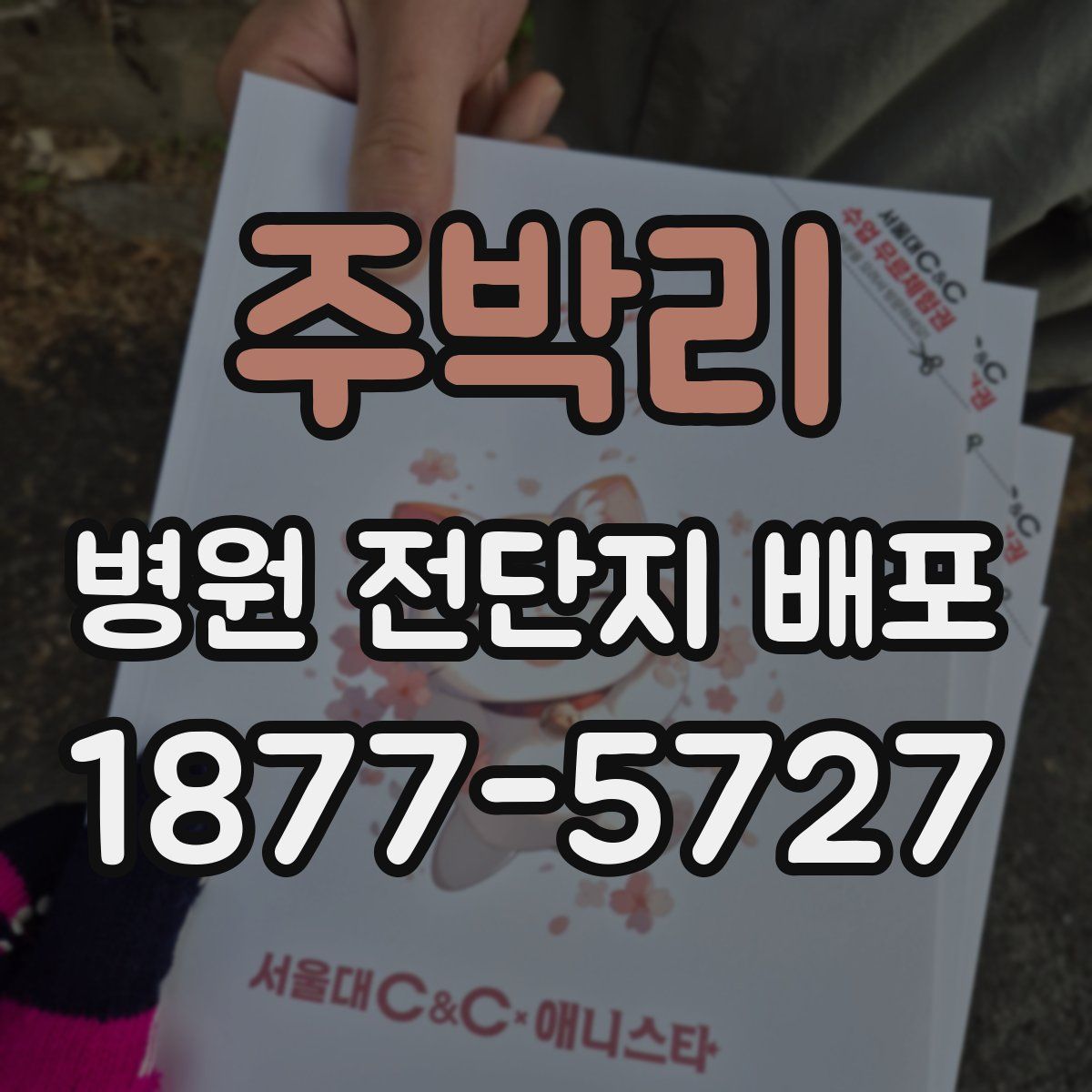 주박리 병원 전단지 배포