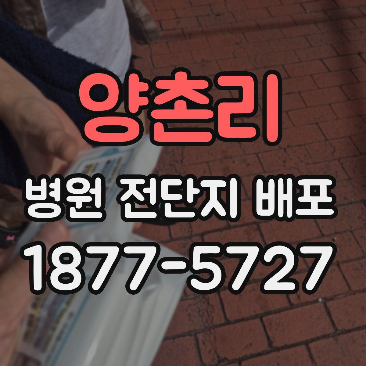양촌리 병원 전단지 배포