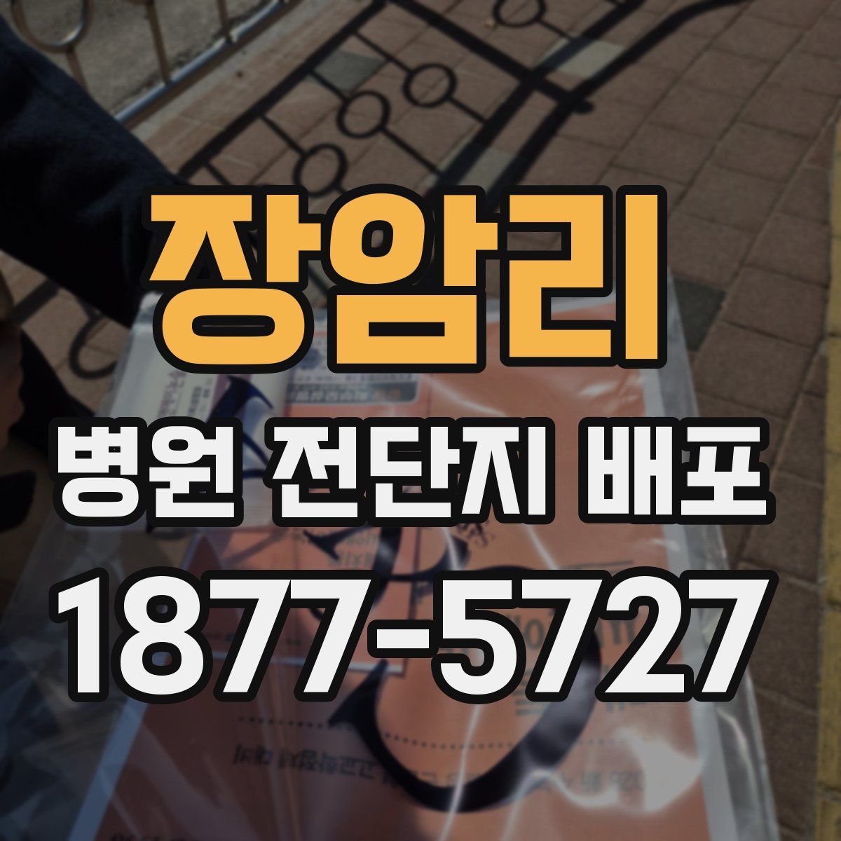 장암리 병원 전단지 배포