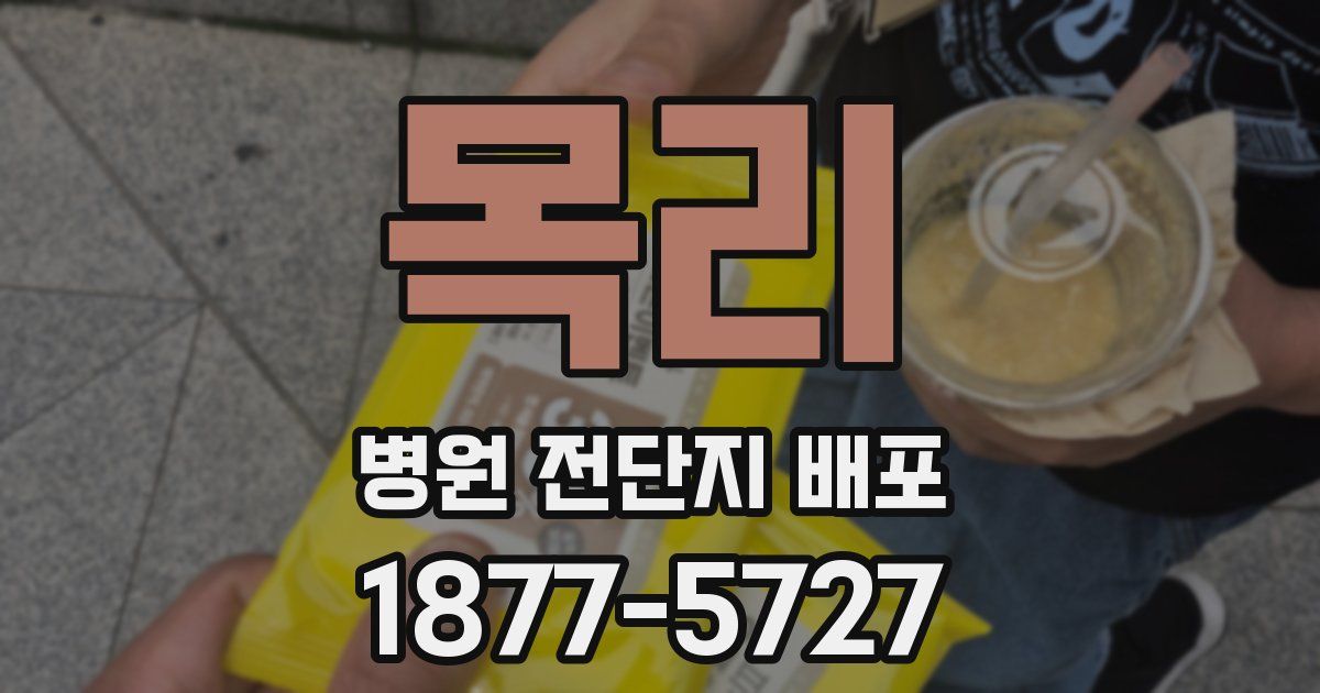 목리 병원 전단지 배포