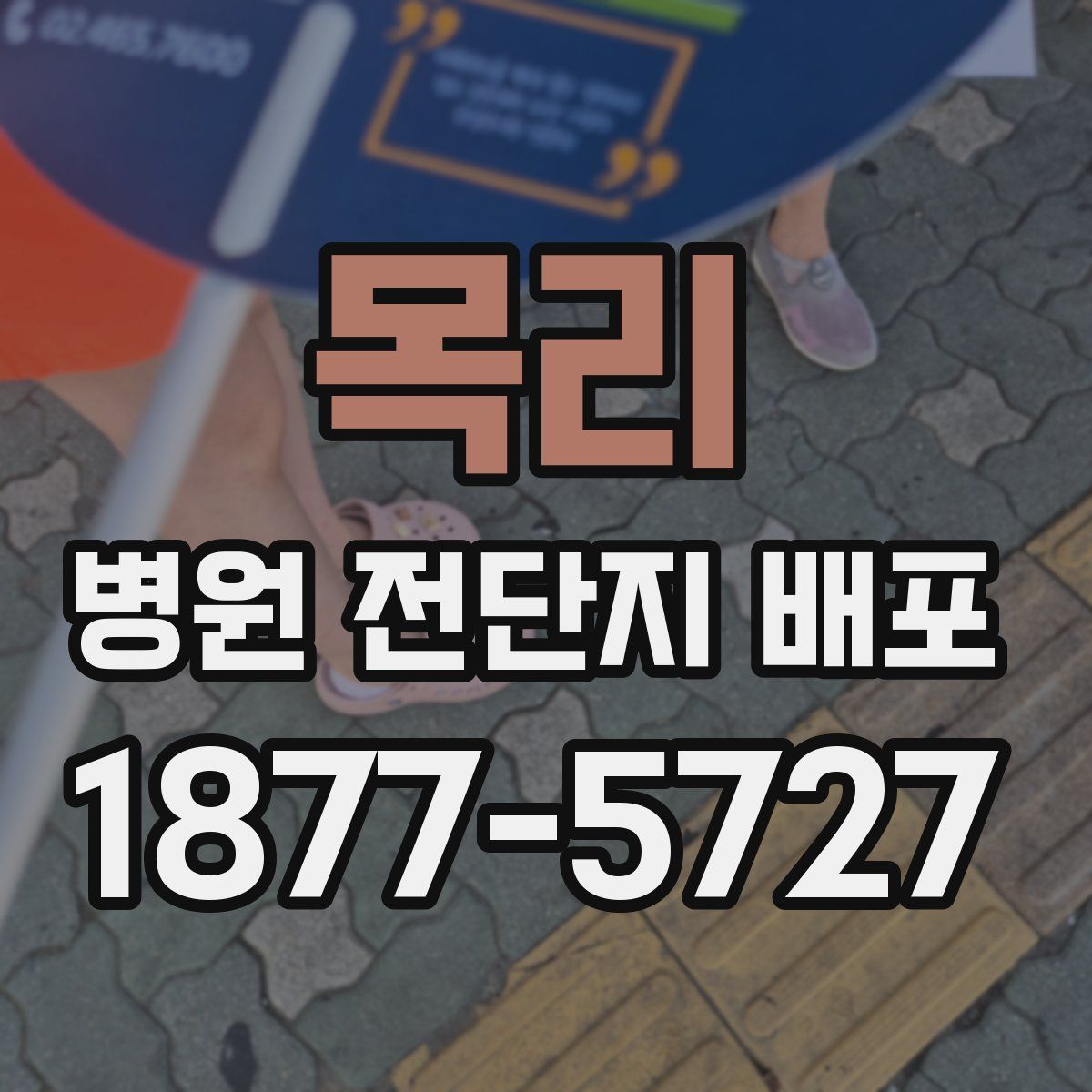 목리 병원 전단지 배포