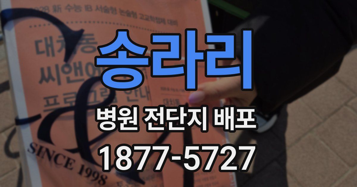 송라리 병원 전단지 배포
