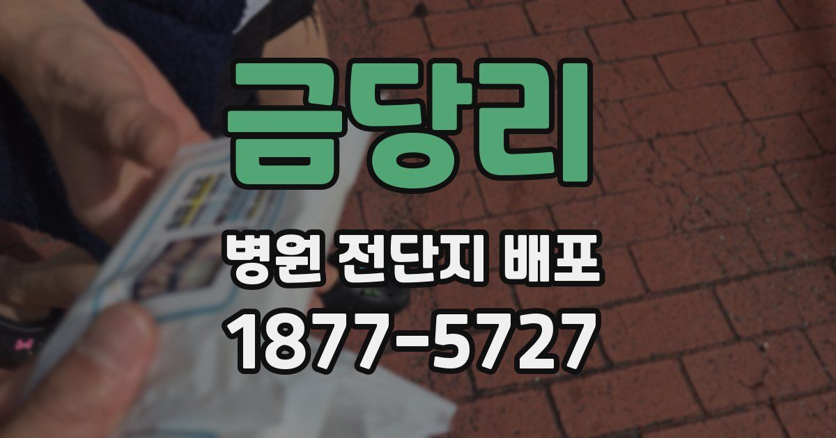 금당리 병원 전단지 배포
