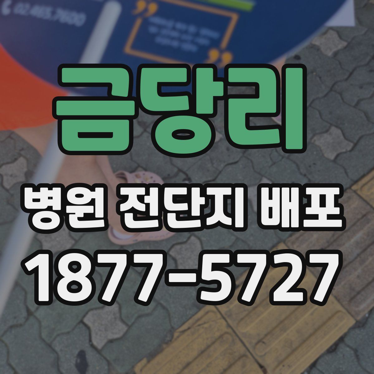 금당리 병원 전단지 배포