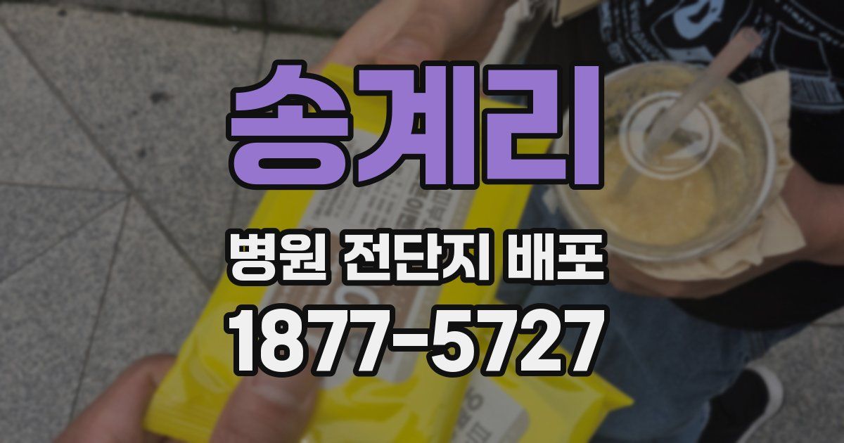 송계리 병원 전단지 배포