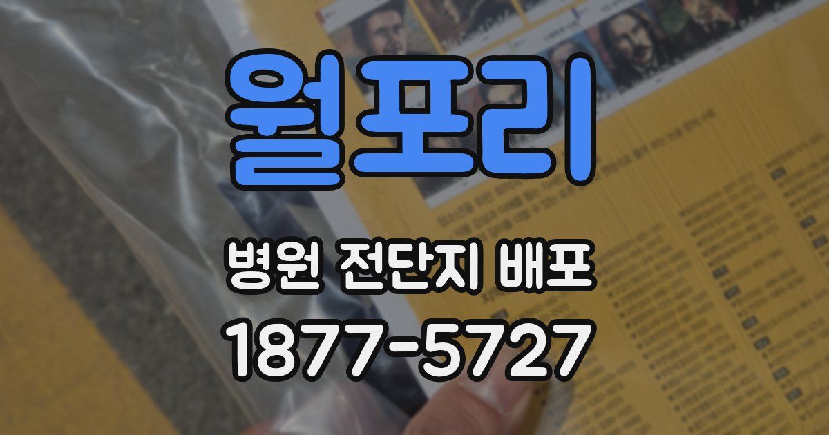 월포리 병원 전단지 배포