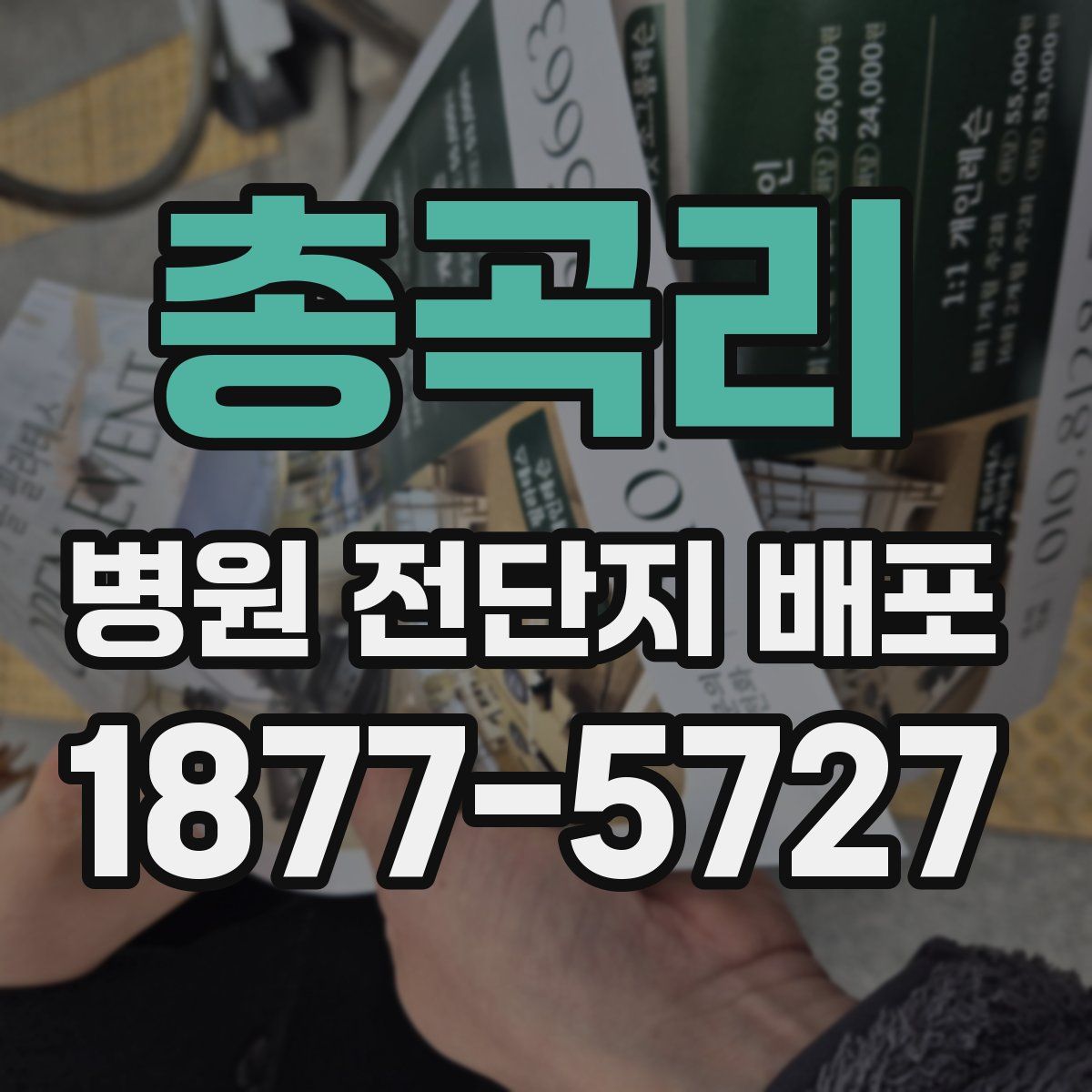총곡리 병원 전단지 배포