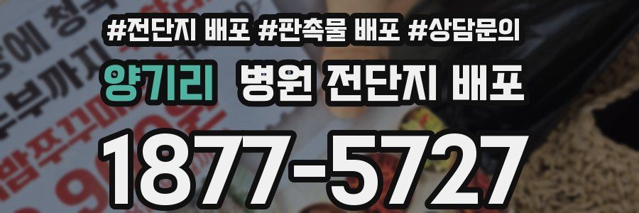 양기리 병원 전단지 배포