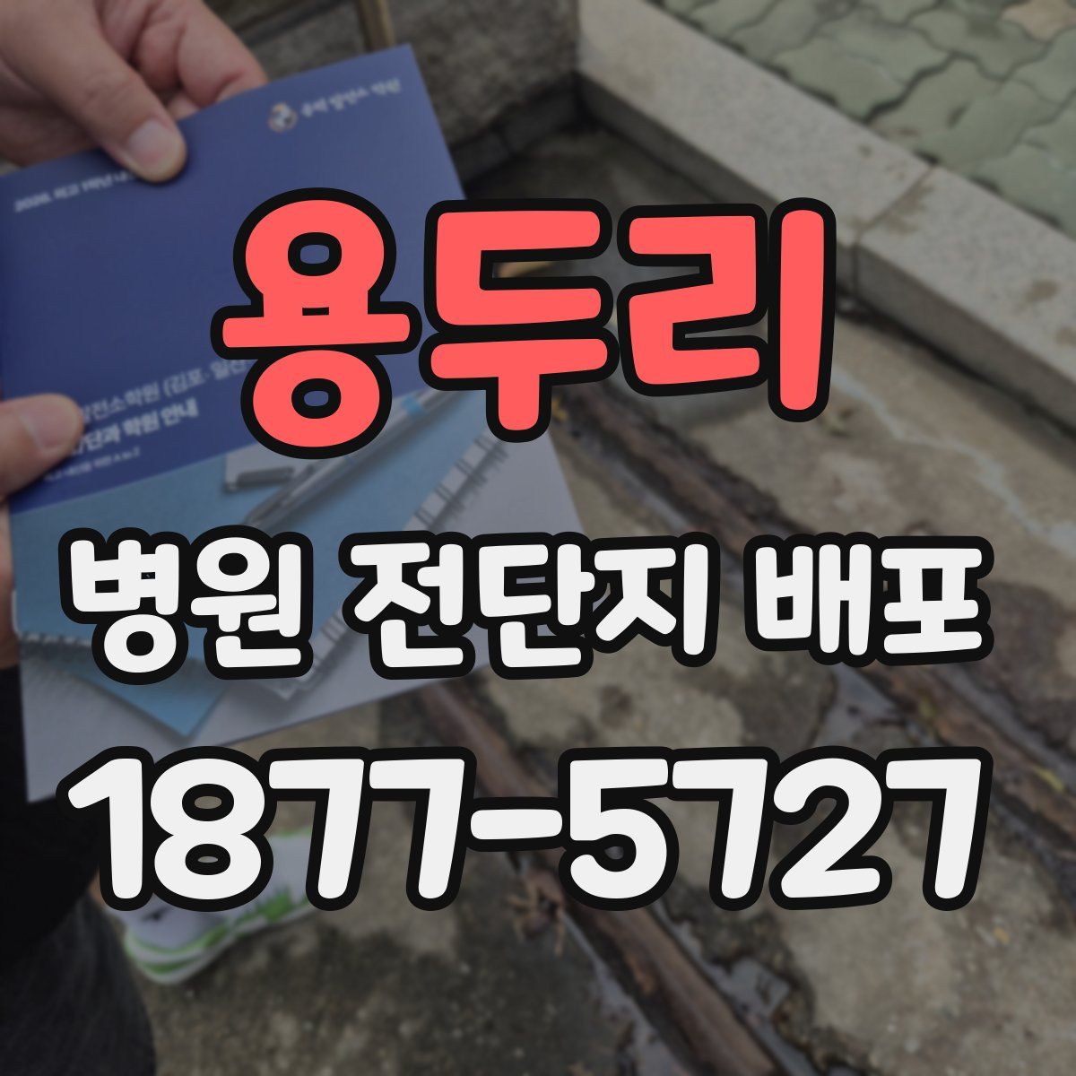 용두리 병원 전단지 배포