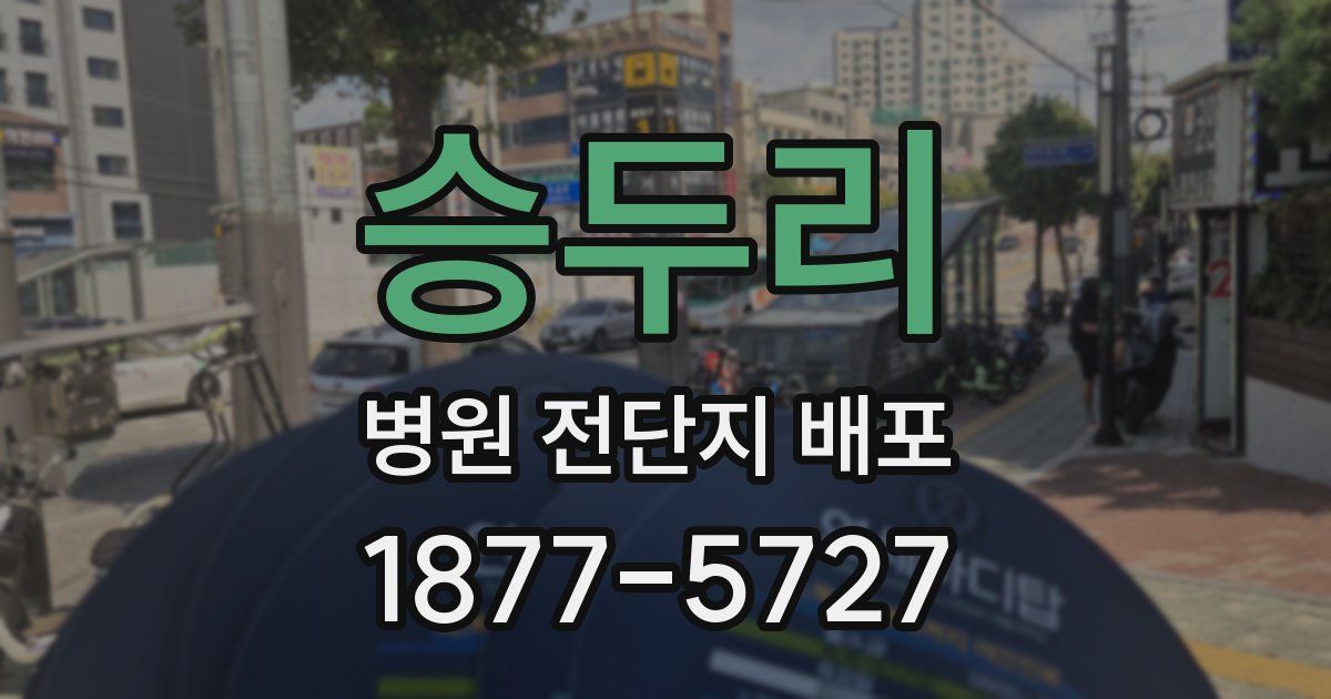 승두리 병원 전단지 배포