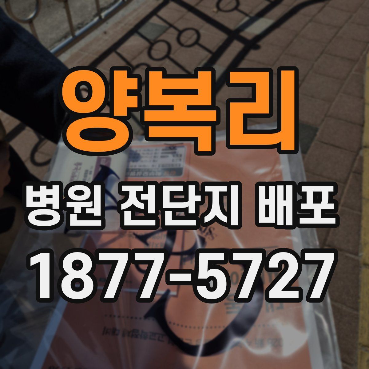 양복리 병원 전단지 배포
