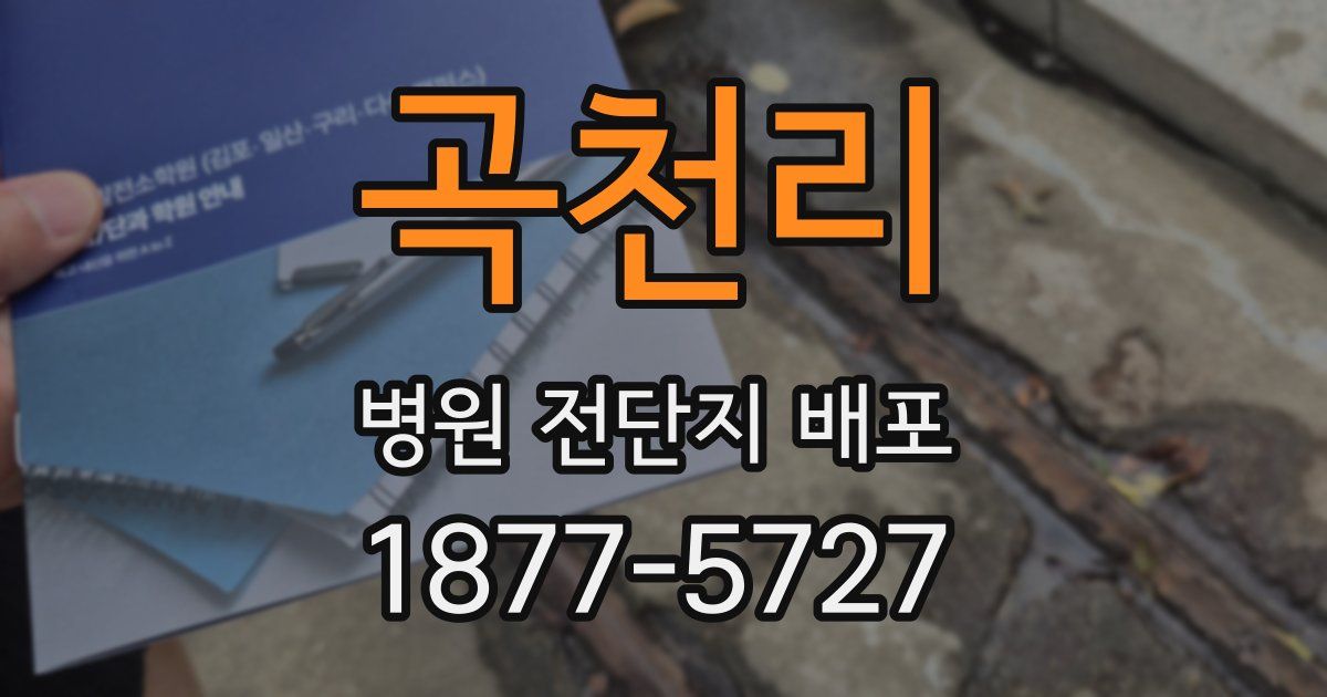 곡천리 병원 전단지 배포