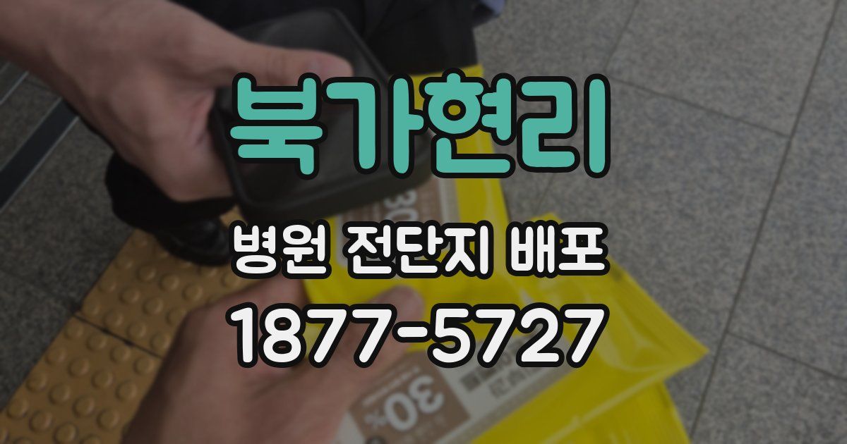 북가현리 병원 전단지 배포