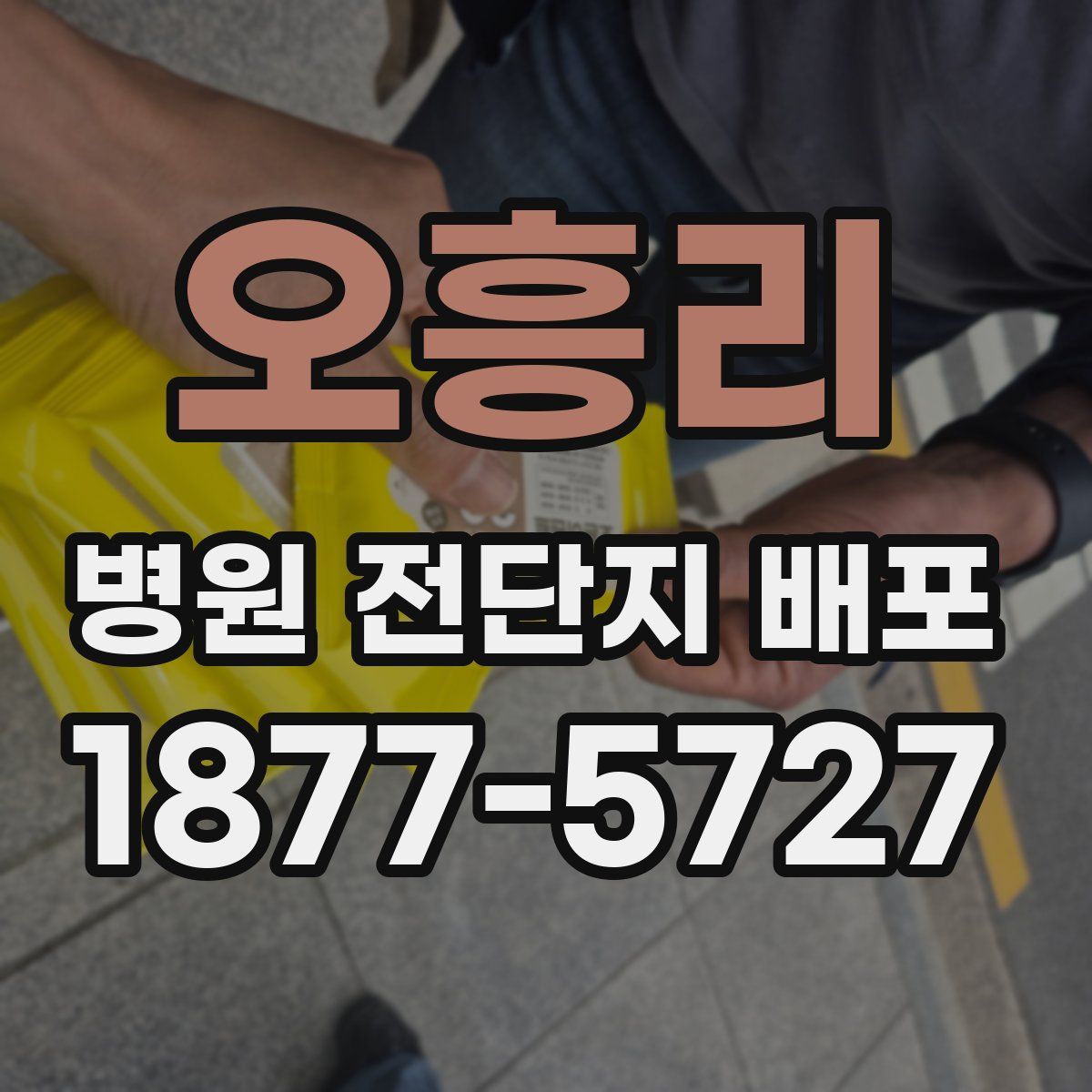 오흥리 병원 전단지 배포