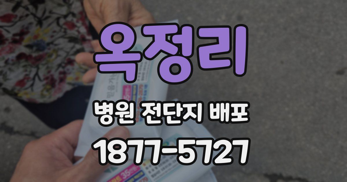 옥정리 병원 전단지 배포