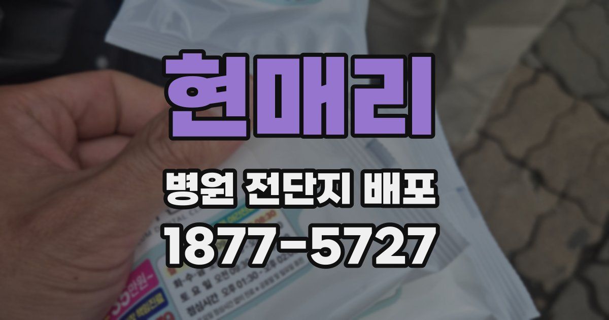 현매리 병원 전단지 배포