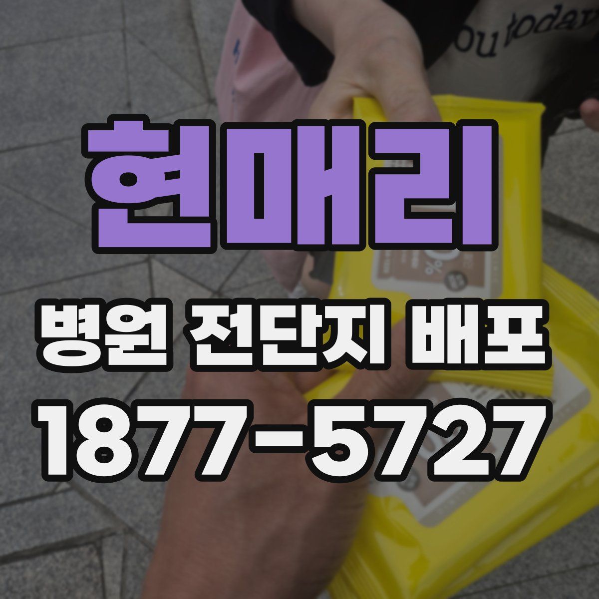 현매리 병원 전단지 배포