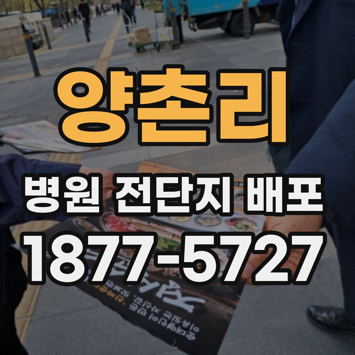 양촌리 병원 전단지 배포