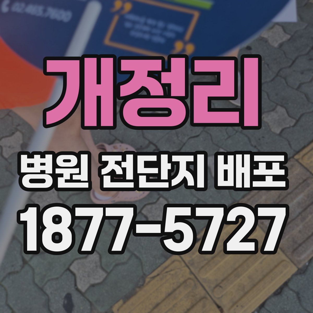 개정리 병원 전단지 배포