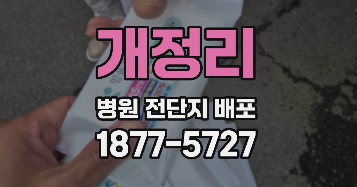 개정리 병원 전단지 배포
