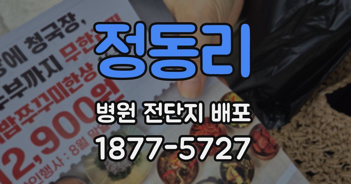 정동리 병원 전단지 배포