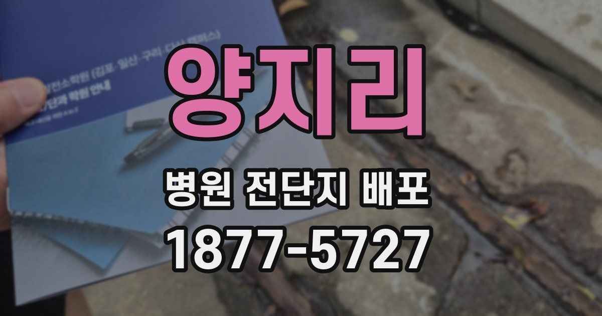 양지리 병원 전단지 배포