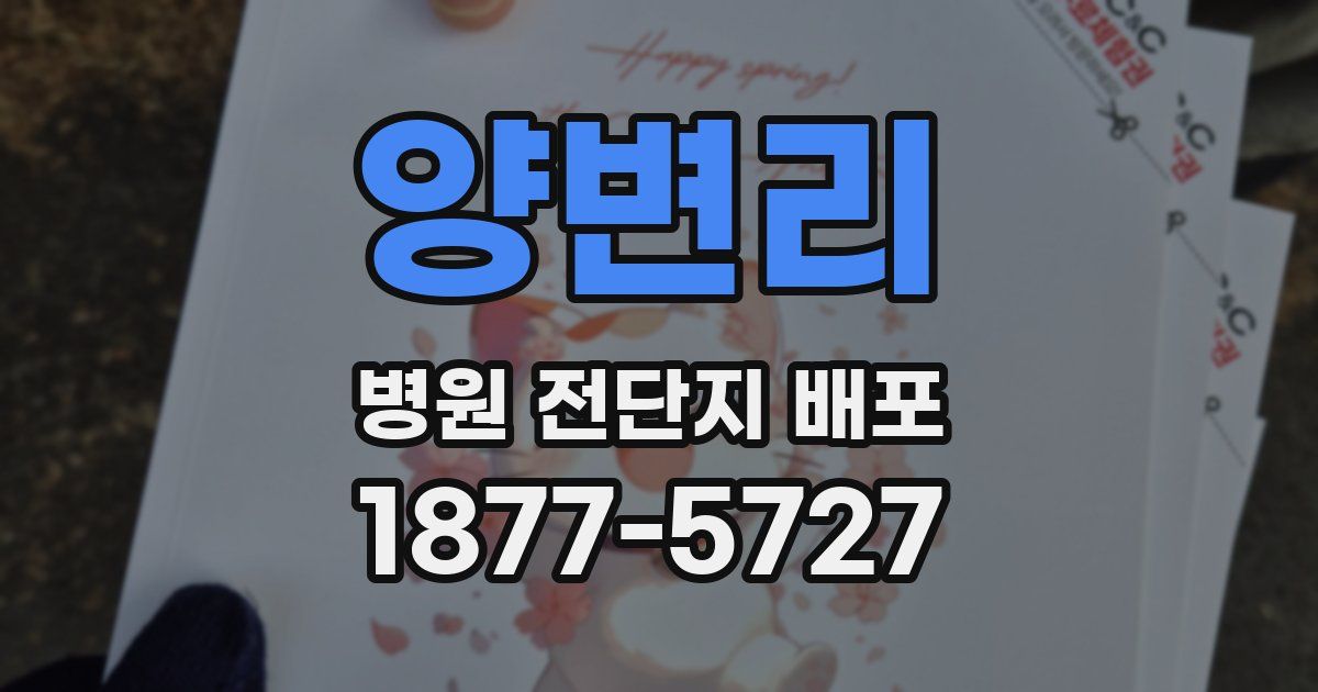 양변리 병원 전단지 배포