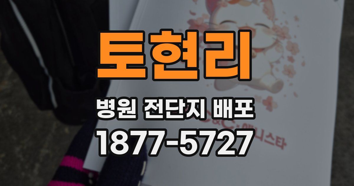 토현리 병원 전단지 배포