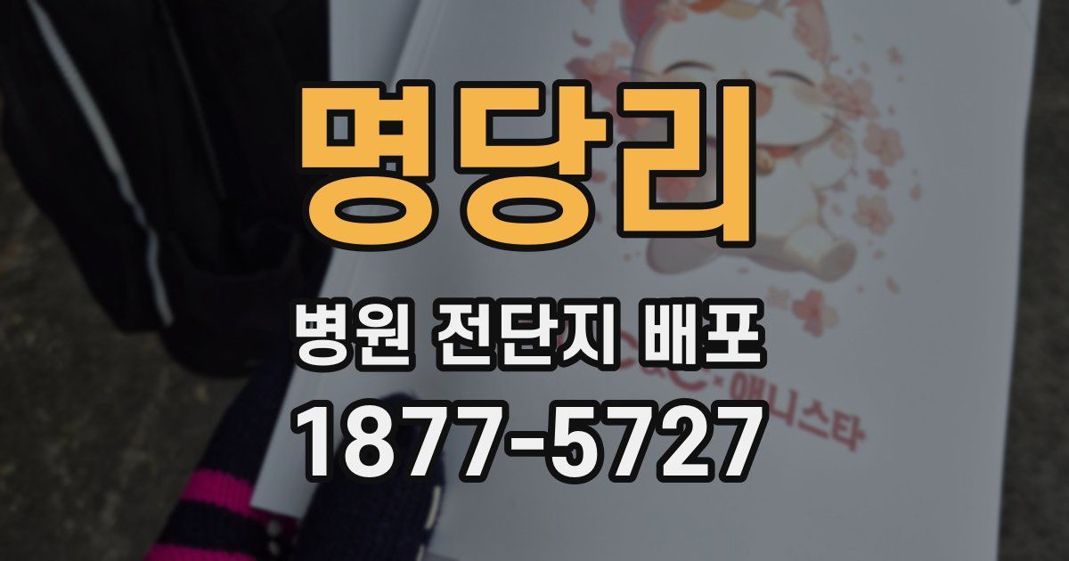 명당리 병원 전단지 배포