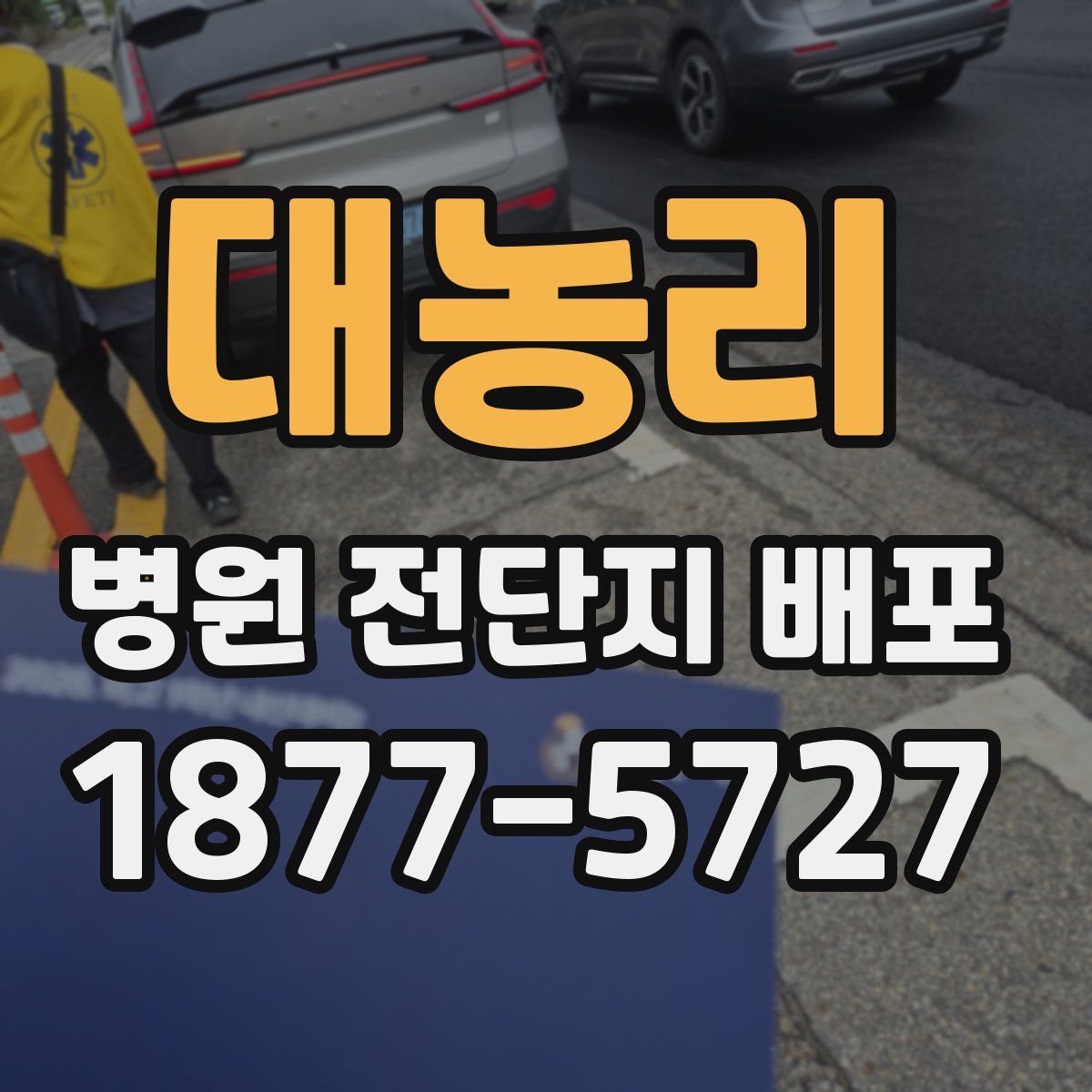 대농리 병원 전단지 배포