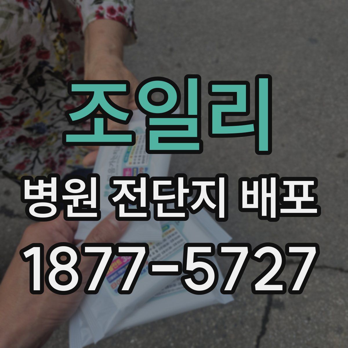 조일리 병원 전단지 배포