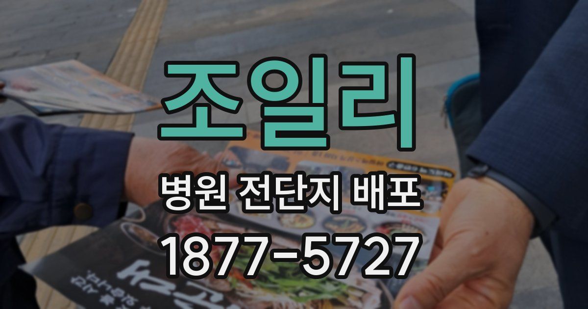 조일리 병원 전단지 배포