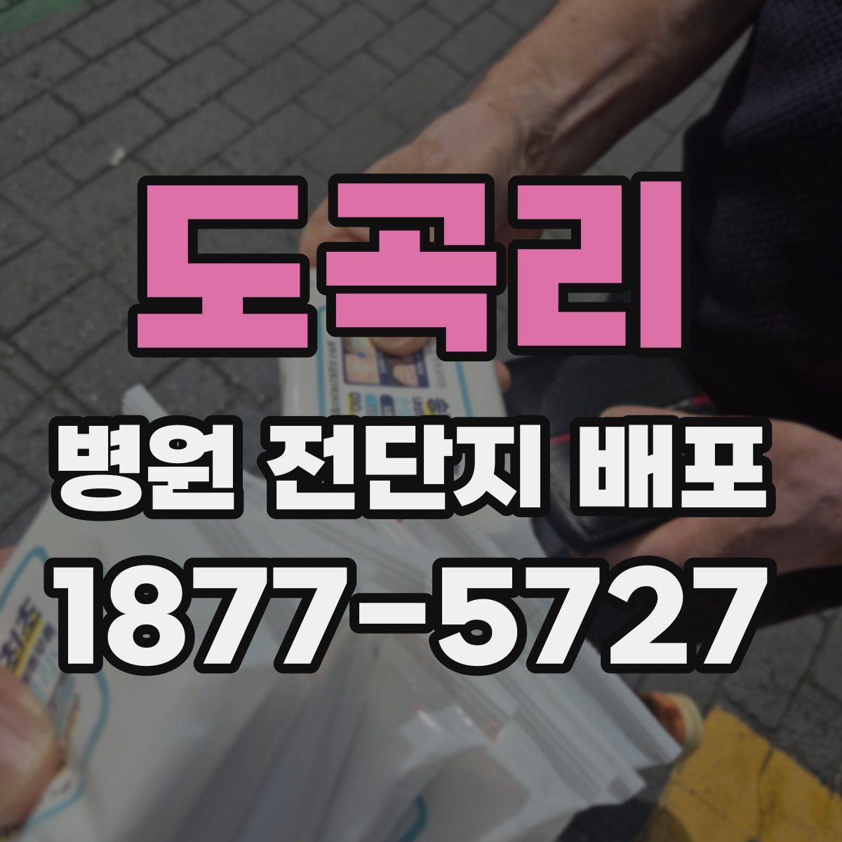 도곡리 병원 전단지 배포