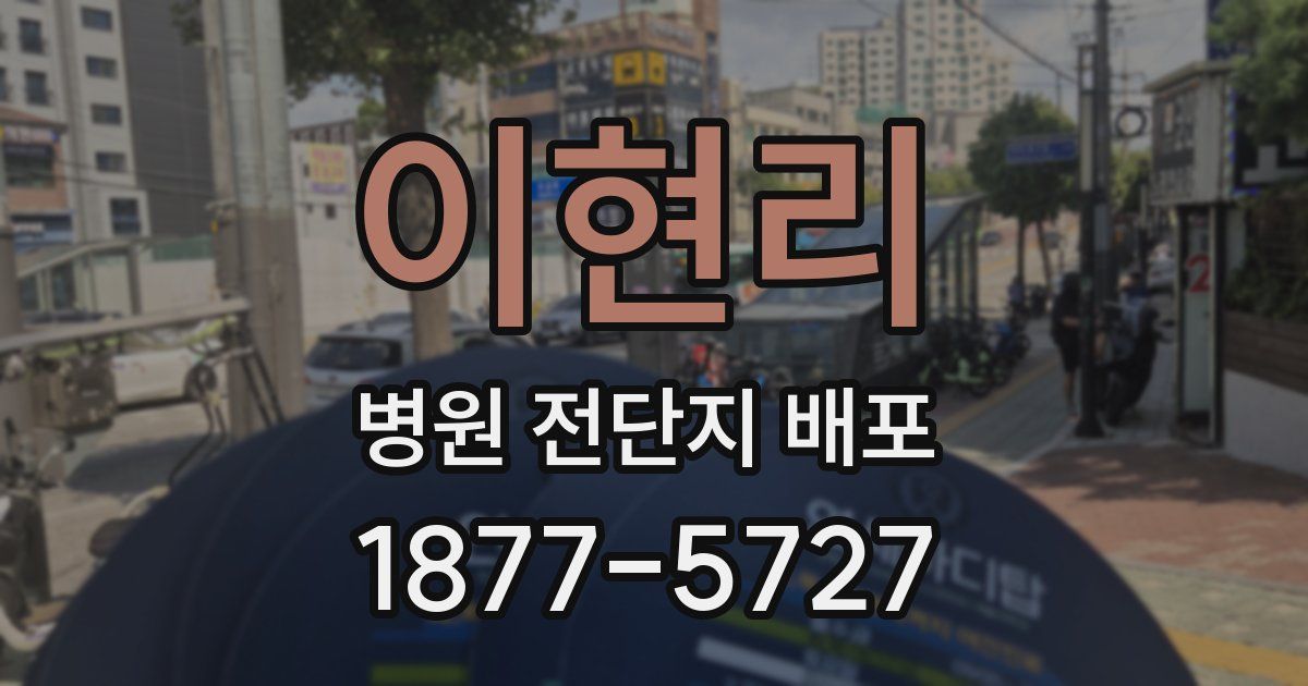 이현리 병원 전단지 배포