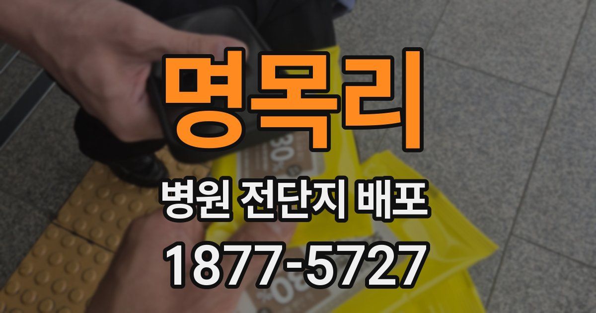 명목리 병원 전단지 배포