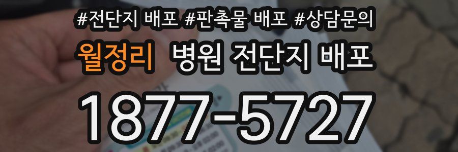 월정리 병원 전단지 배포