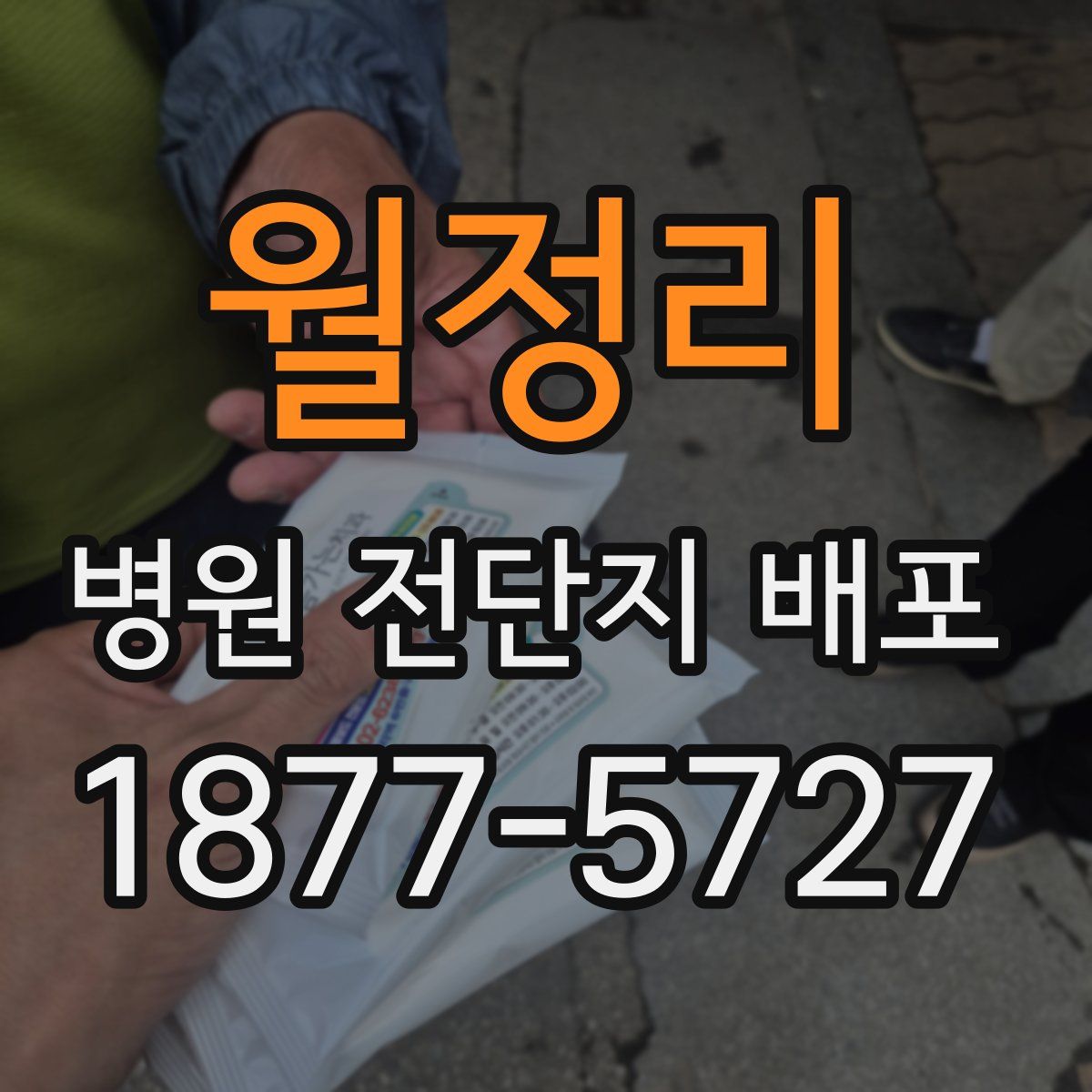 월정리 병원 전단지 배포