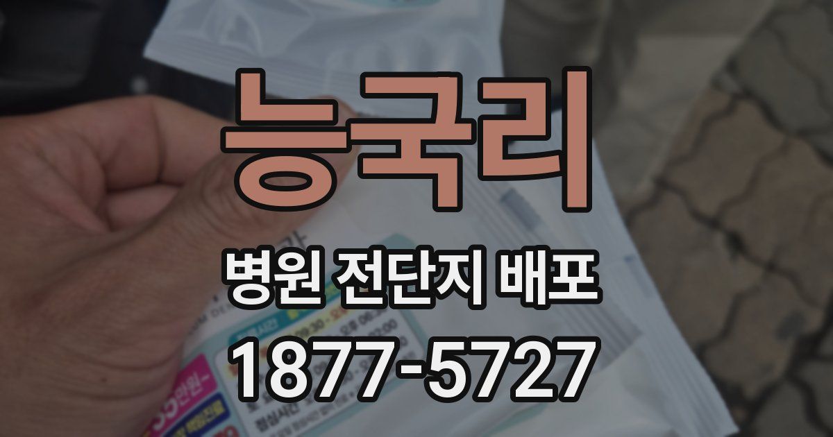 능국리 병원 전단지 배포
