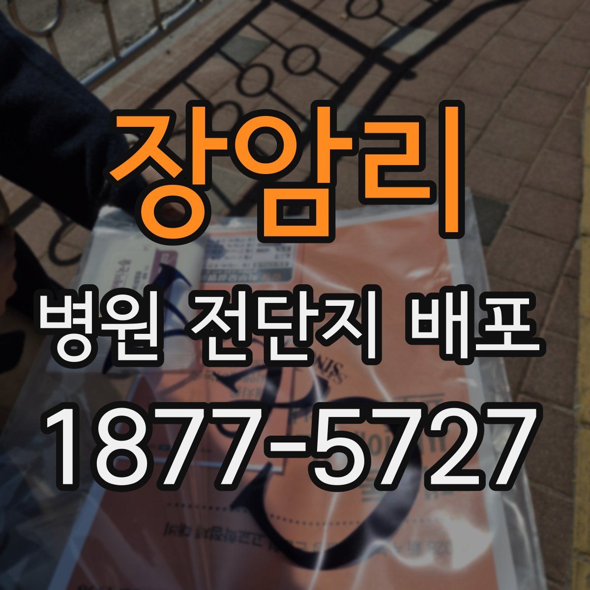 장암리 병원 전단지 배포