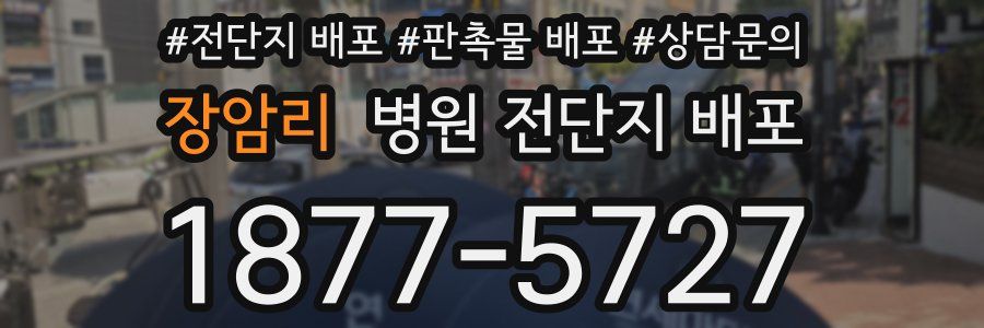장암리 병원 전단지 배포