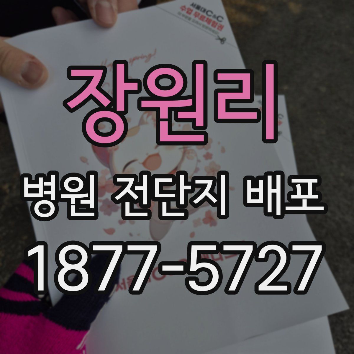 장원리 병원 전단지 배포