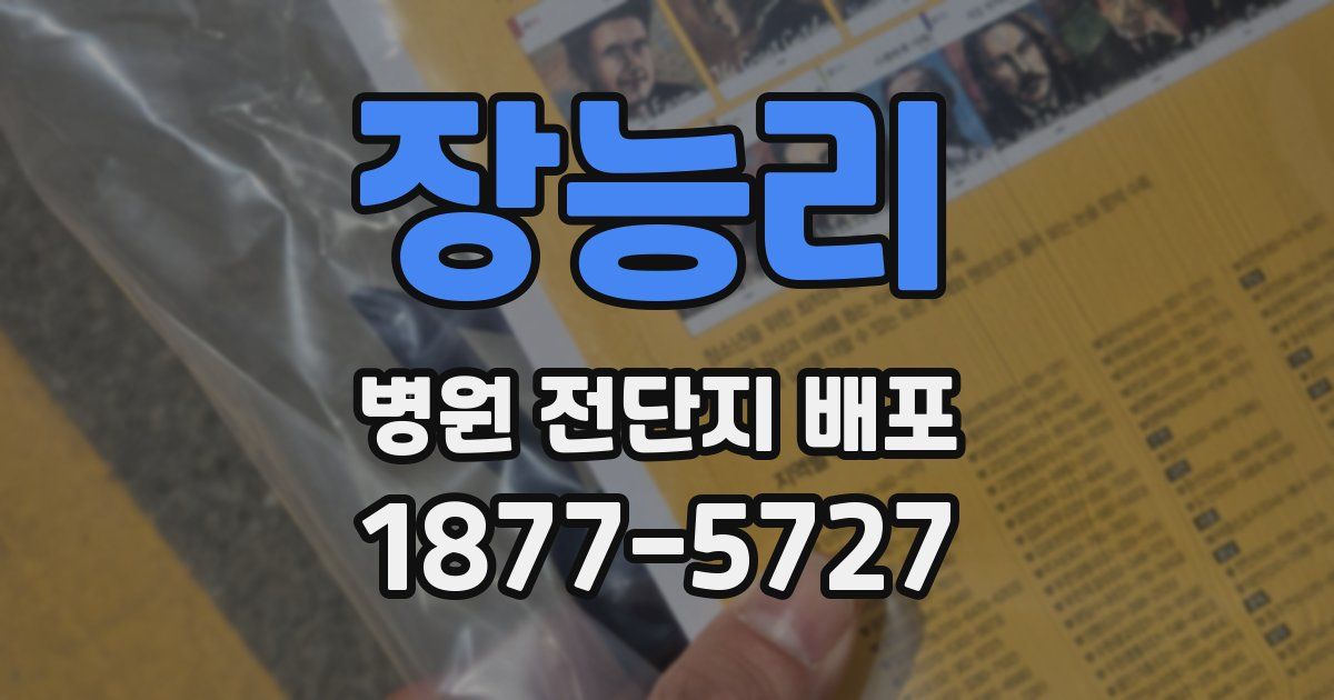 장능리 병원 전단지 배포
